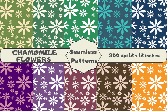 Chamomile Flowers Seamless Patterns